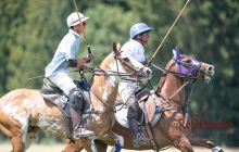 0135-Kathrin_Gralla-Chiemsee_Polo 