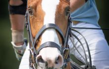 0151-Kathrin_Gralla-Chiemsee_Polo 