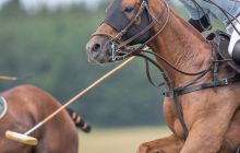 0158-Kathrin_Gralla-Chiemsee_Polo 