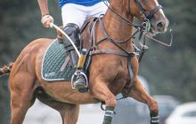 0188-Kathrin_Gralla-Chiemsee_Polo 
