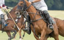 0192-Kathrin_Gralla-Chiemsee_Polo 