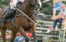 0197-Kathrin_Gralla-Chiemsee_Polo 