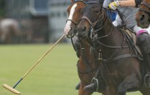 0213-Kathrin_Gralla-Chiemsee_Polo 