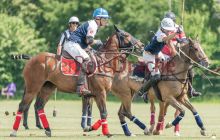 0038-Kathrin_Gralla-ZMG_2021 
