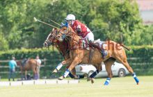 0052-Kathrin_Gralla-ZMG_2021 