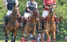 0054-Kathrin_Gralla-ZMG_2021 