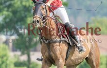 0064-Kathrin_Gralla-ZMG_2021 