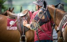 0131-Kathrin_Gralla-ZMG_2021 