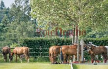 0150-Kathrin_Gralla-ZMG_2021 