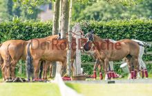 0151-Kathrin_Gralla-ZMG_2021 