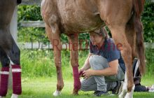 0158-Kathrin_Gralla-ZMG_2021 