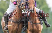 0176-Kathrin_Gralla-ZMG_2021 