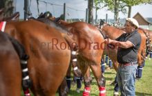 0201-Kathrin_Gralla-ZMG_2021 