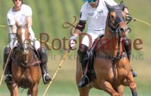 0211-Kathrin_Gralla-ZMG_2021 