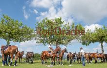 0238-Kathrin_Gralla-ZMG_2021 