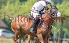 0239-Kathrin_Gralla-ZMG_2021 