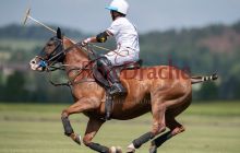 0252-Kathrin_Gralla-ZMG_2021 