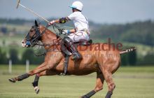 0253-Kathrin_Gralla-ZMG_2021 