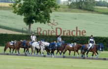 0265-Kathrin_Gralla-ZMG_2021 