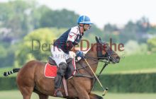 0267-Kathrin_Gralla-ZMG_2021 