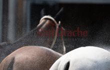 0276-Kathrin_Gralla-ZMG_2021 