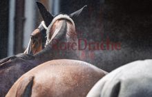 0277-Kathrin_Gralla-ZMG_2021 