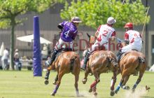 0293-Kathrin_Gralla-ZMG_2021 