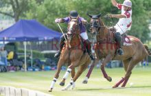 0299-Kathrin_Gralla-ZMG_2021 