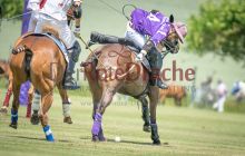 0312-Kathrin_Gralla-ZMG_2021 