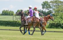 0332-Kathrin_Gralla-ZMG_2021 