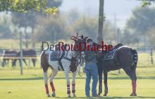 0108_-_Kathrin_Gralla_-_PatronsCupDay_1 