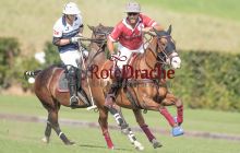 0120_-_Kathrin_Gralla_-_SFDA2019 