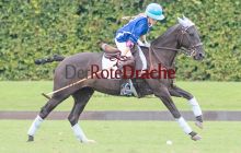 0177_-_Kathrin_Gralla_-_SFDA2019 