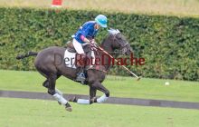 0178_-_Kathrin_Gralla_-_SFDA2019 