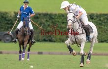 0180_-_Kathrin_Gralla_-_SFDA2019 