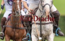 0183_-_Kathrin_Gralla_-_SFDA2019 