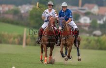 0219_-_Kathrin_Gralla_-_SFDA2019 