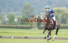 0229_-_Kathrin_Gralla_-_SFDA2019 