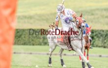 0235_-_Kathrin_Gralla_-_SFDA2019 