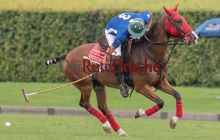 0239_-_Kathrin_Gralla_-_SFDA2019 