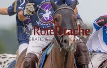 0265_-_Kathrin_Gralla_-_SFDA2019 