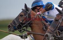 0272_-_Kathrin_Gralla_-_SFDA2019 